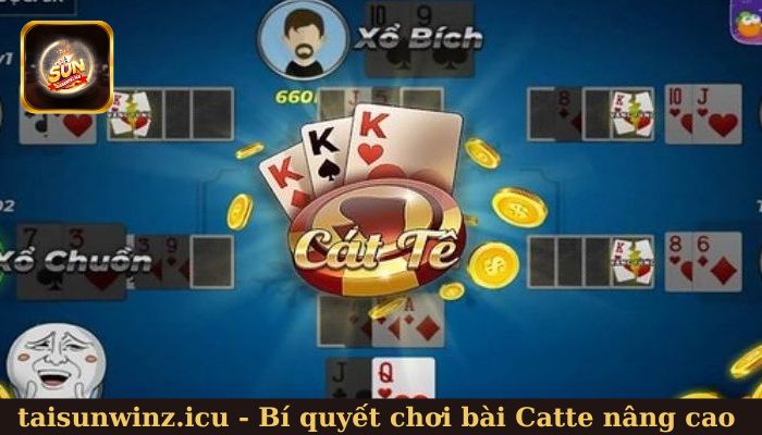 Bí quyết chơi bài Catte nâng cao khả năng chiến thắng