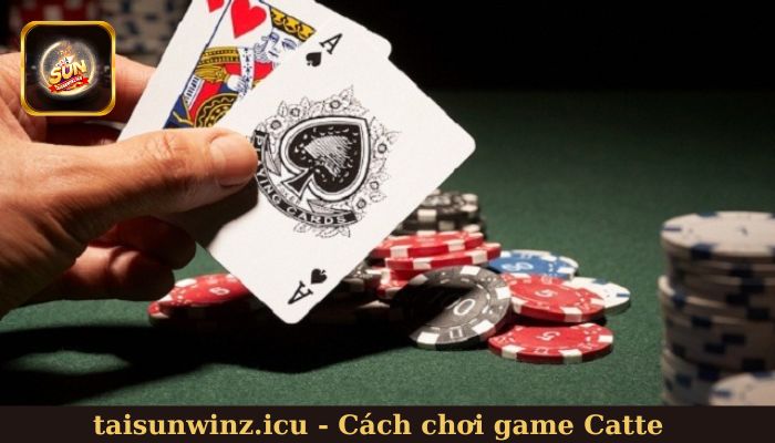 Cách chơi game Catte cho người chơi mới