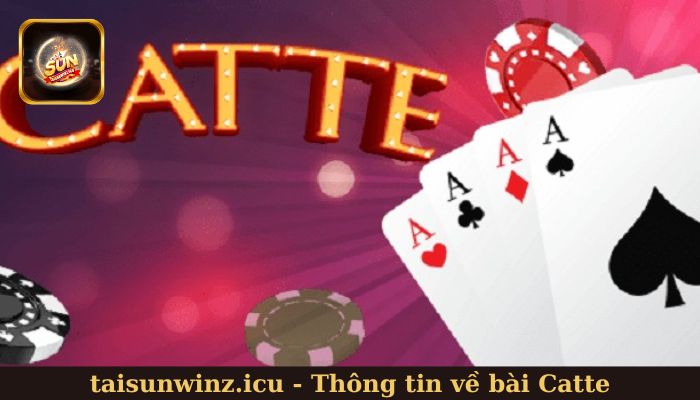 Tìm hiểu thông tin về bài Catte là gì?